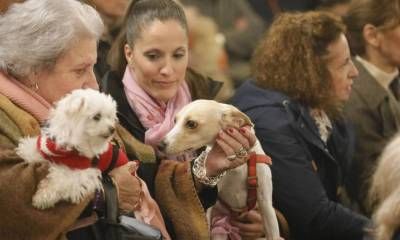 Santas mascotas: municipio del Conurbano organiza la primera bendición de animales