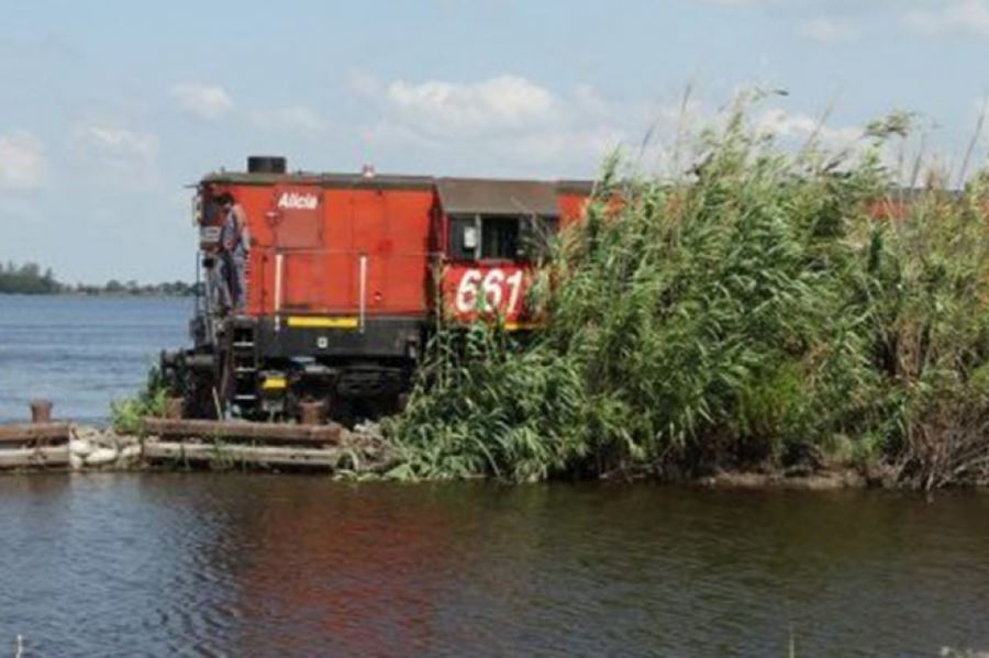 Sin caminos en General Villegas, los productores deben trasladar su cosecha en tren