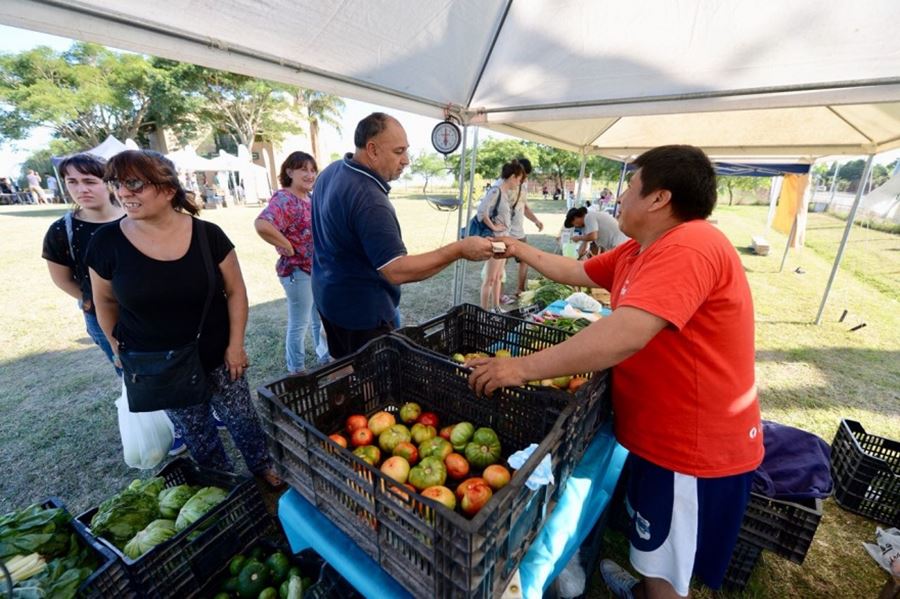 Con una nutrida participación, se desarrolló la 14° Fiesta del Tomate Platense