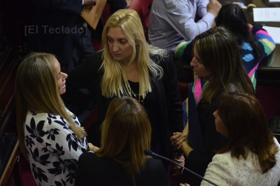 Tras su paso por comisión, el Senado convirtió en ley las emergencias en Infraestructura y la Administrativa