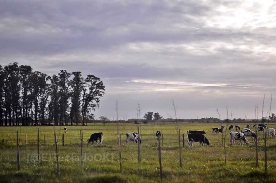 Productores tamberos en alerta por un posible nuevo impuesto que apunta a mantener los caminos rurales