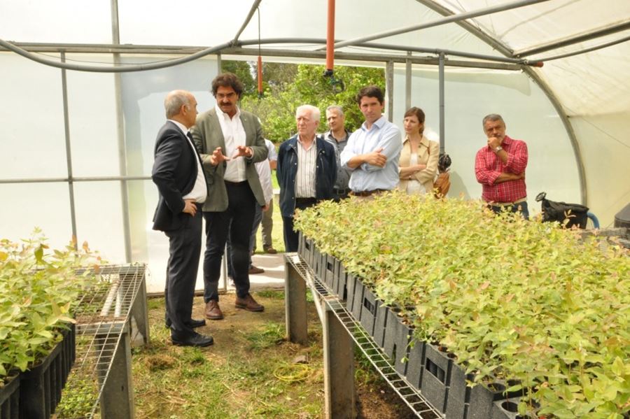 Con el objetivo de duplicar la superficie forestada, la Provincia genera un fondo de más de 1.000 millones