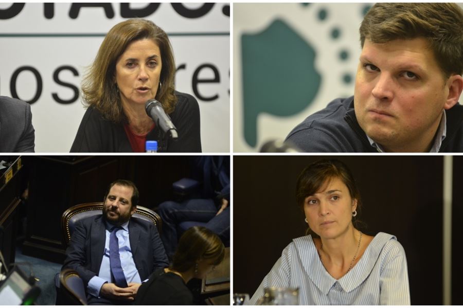 Nace un nuevo bloque en la Legislatura: "Es necesario correr los homenajes como centro de la política"