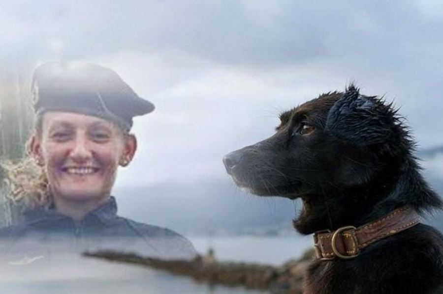 Murió Comando, el perro que esperaba a la submarinista Eliana Krawczyk