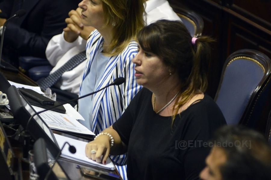 Buscan que la ley Micaela se aplique en la provincia de Buenos Aires