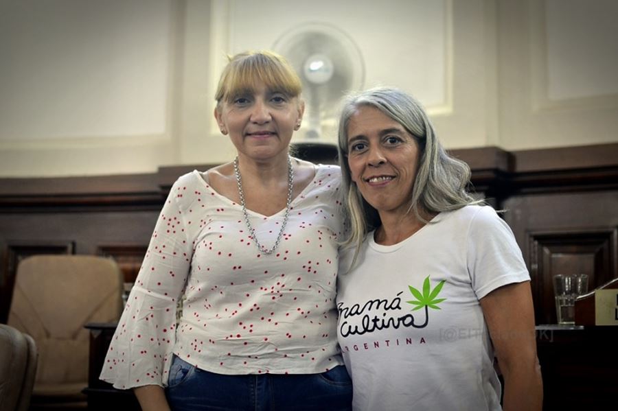 El Estado como compañero, el horizonte de lucha de las mujeres detrás del cannabis medicinal