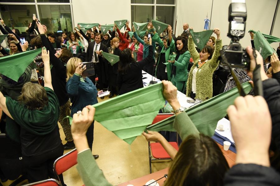 Con el respaldo de la marea verde y 70 legisladores, se presentó el proyecto de despenalización del aborto