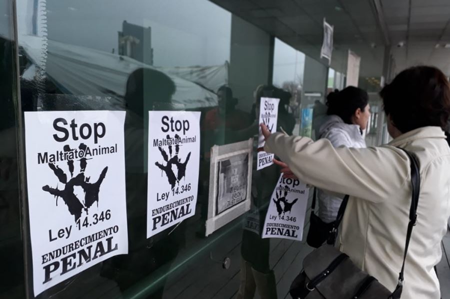 Después de 65 años, y con 20 proyectos sobre la mesa, el Congreso busca modificar la ley de Maltrato Animal