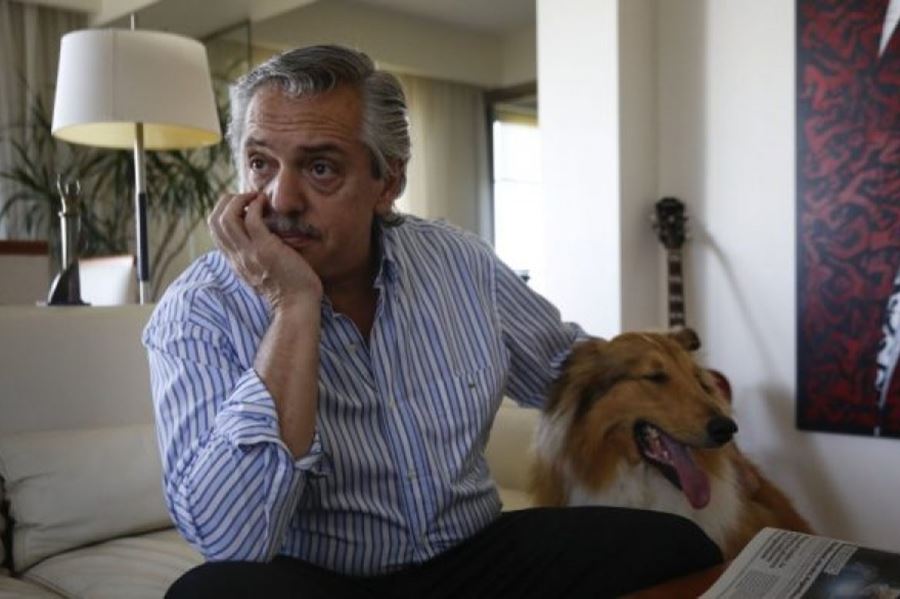 Mirá el primer spot de Dylan Fernández, “el perro que va a sacar al gato de Casa Rosada”