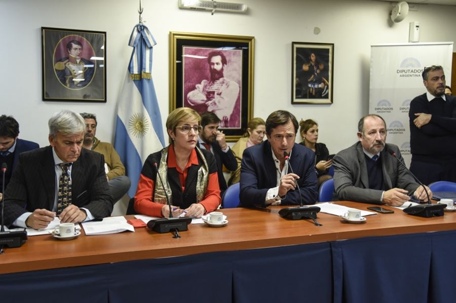 Maltrato animal: no hubo acuerdo para lograr un dictamen unificado en Diputados