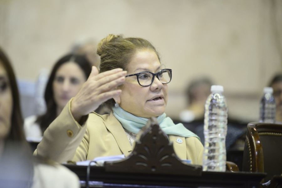 Cepo: para Graciela Camaño es "el reconocimiento del fracaso"