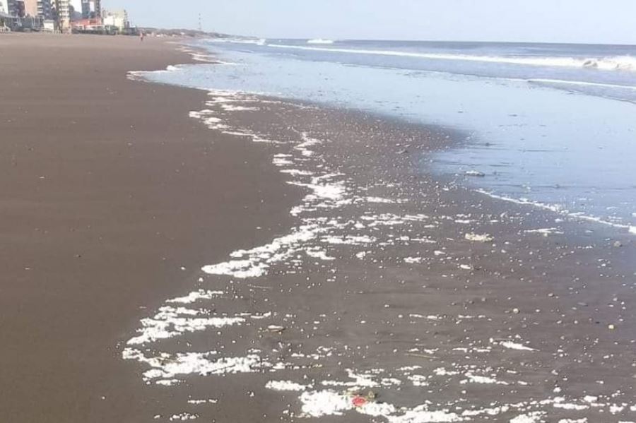 Catorce niños jujeños conocerán por primera vez el mar en Monte Hermoso