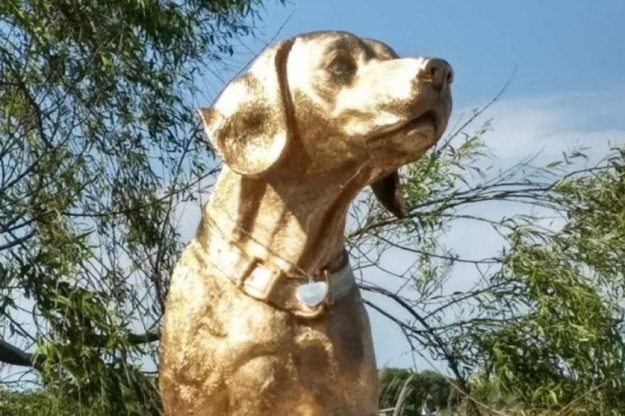 Vecinos levantaron un monumento en honor a "Rubio", el perro que murió arrastrado por un automovilista
