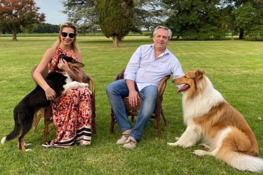 Se agrandó la familia: conocé a Prócer, el nuevo perro collie de Alberto Fernández