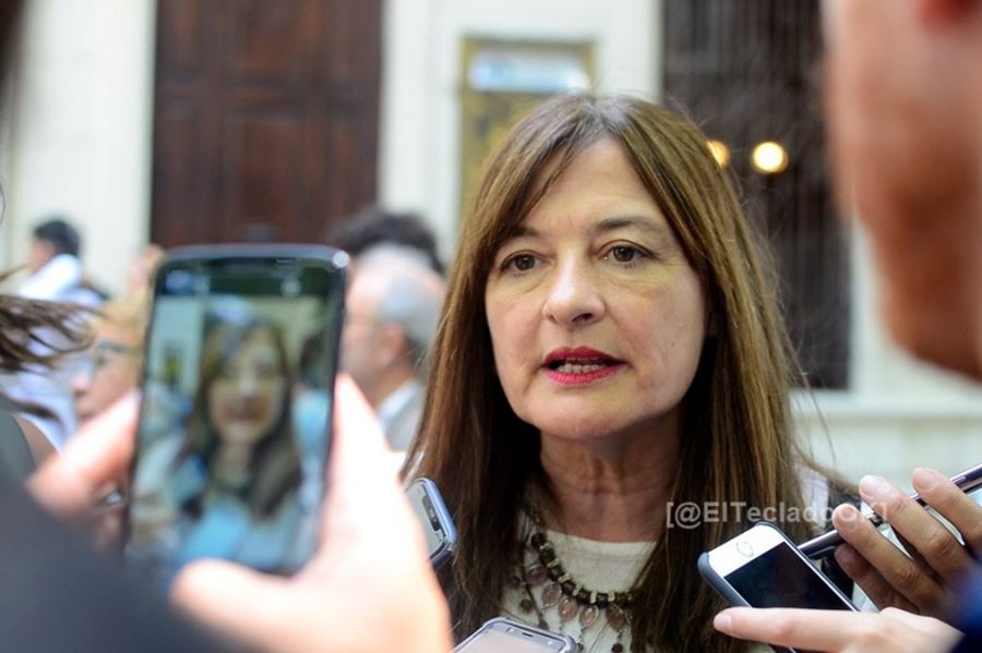 Estela Díaz: “La vida cotidiana de las mujeres de la provincia está en emergencia”