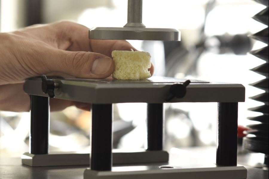 La UNLP elabora panes funcionales con más proteínas para equilibrar la dieta alimentaria