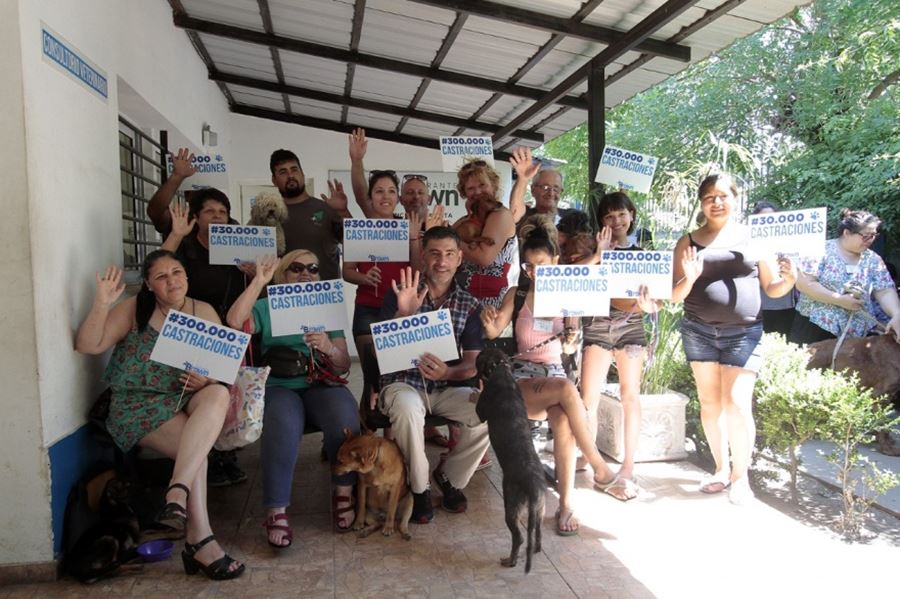 Almirante Brown: Continúa la campaña de castración gratuita