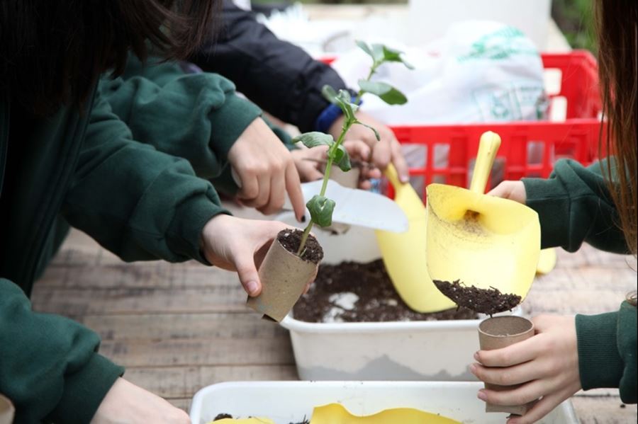 Brindarán talleres educativos vinculados al medio ambiente en la Casa Ecológica