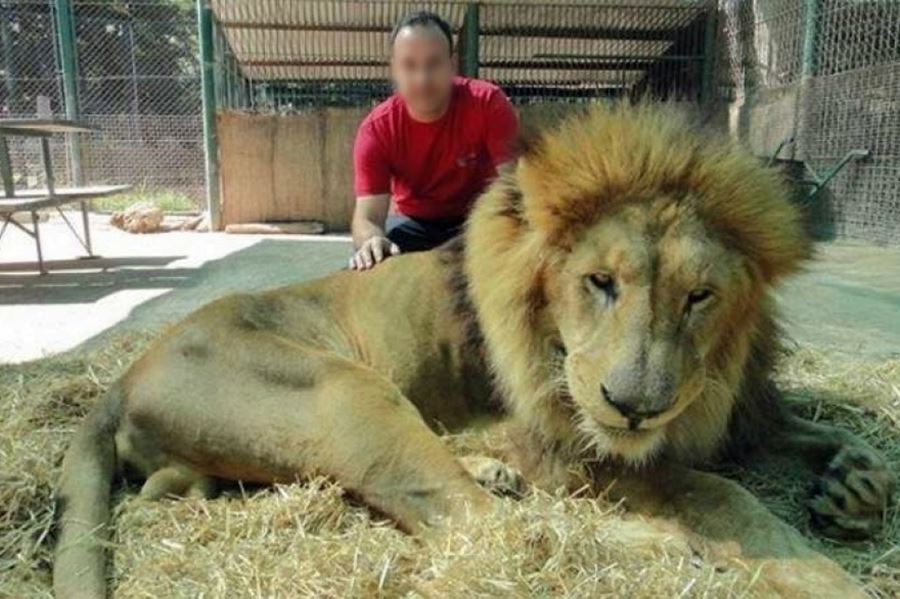 Maltrato animal: La Defensoría exigió la reconversión o el cierre definitivo del Zoológico de Luján