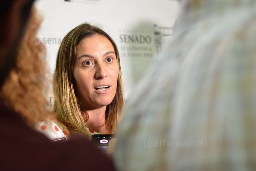 Arata propone crear un programa de asistencia para adultos mayores de bajos recursos