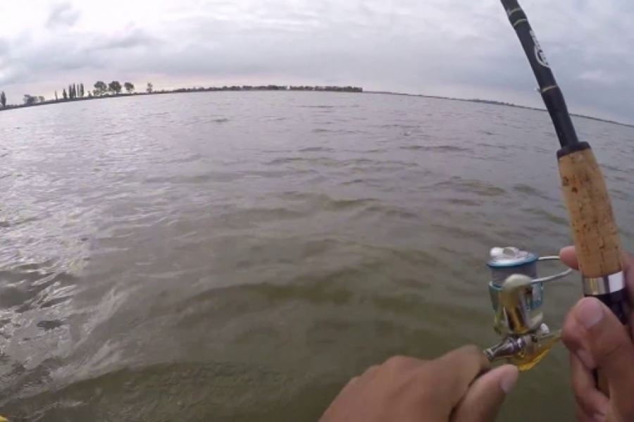 Desde hoy, se habilita la pesca recreativa desde la costa en la laguna de Chascomús