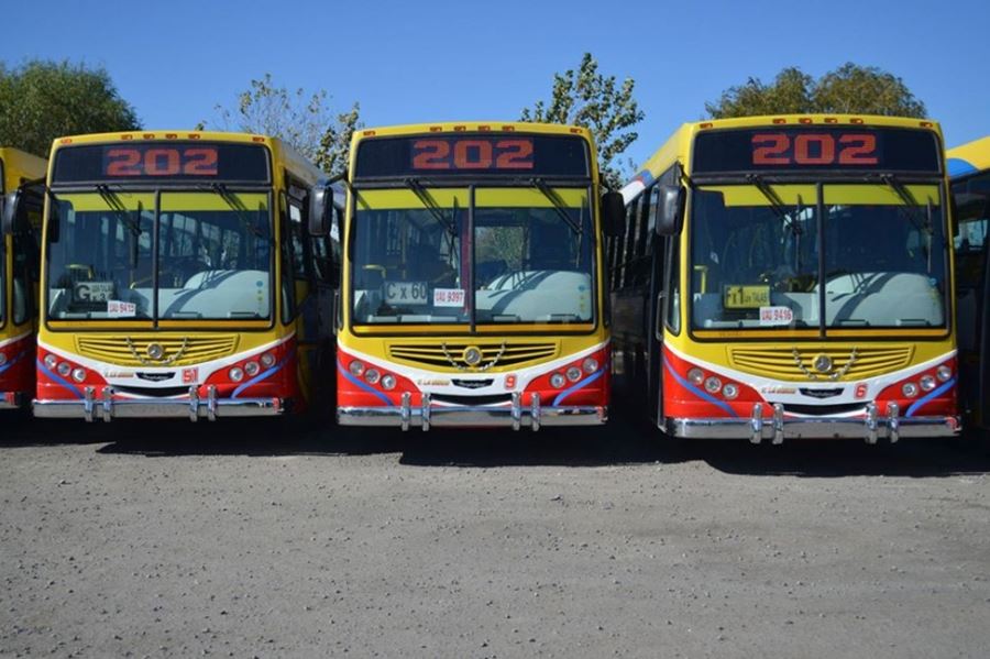 A partir de mañana martes la línea 202 retoma el servicio habitual