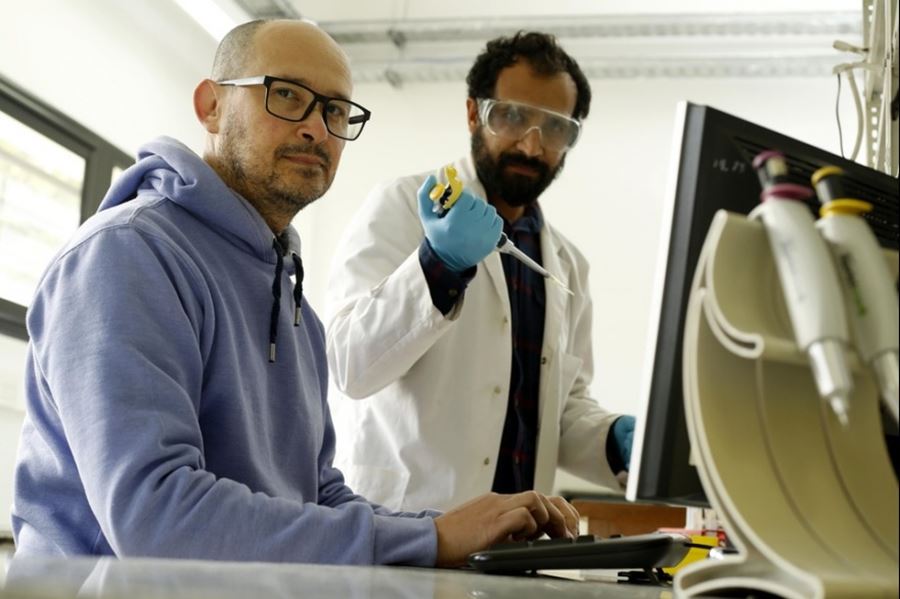 Científicos de la UNLP determinaron por qué el coronavirus evade las respuestas inmunes