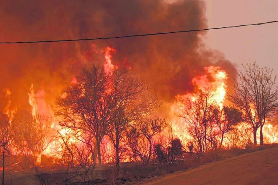 Fuerte advertencia de la ONG Nuevo Ambiente: “Tenemos un país que se está incendiando”