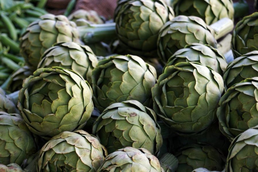 El alcaucil platense: el valor de un noble producto de la tierra y la tradición