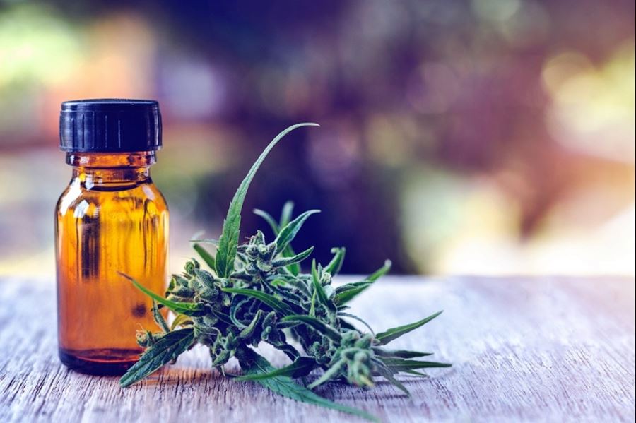Cannabis medicinal: "Es urgente ir a un debate serio que instale en la agenda pública este tema"