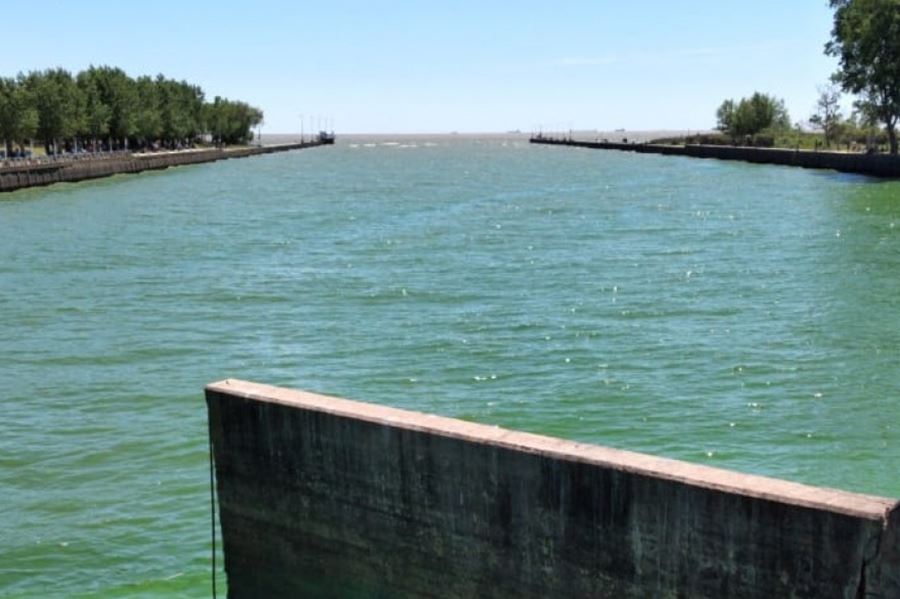 La Plata: este lunes habrá cortes de agua por la presencia de algas en Punta Lara