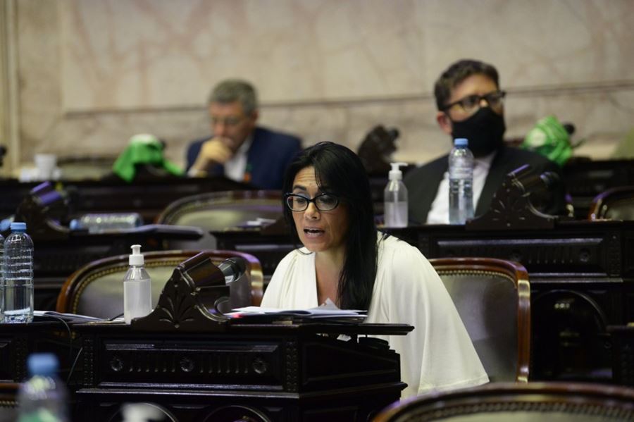Sorpresa en el recinto: una diputada que votó en contra del proyecto del aborto en 2018, ahora se pronunció a favor