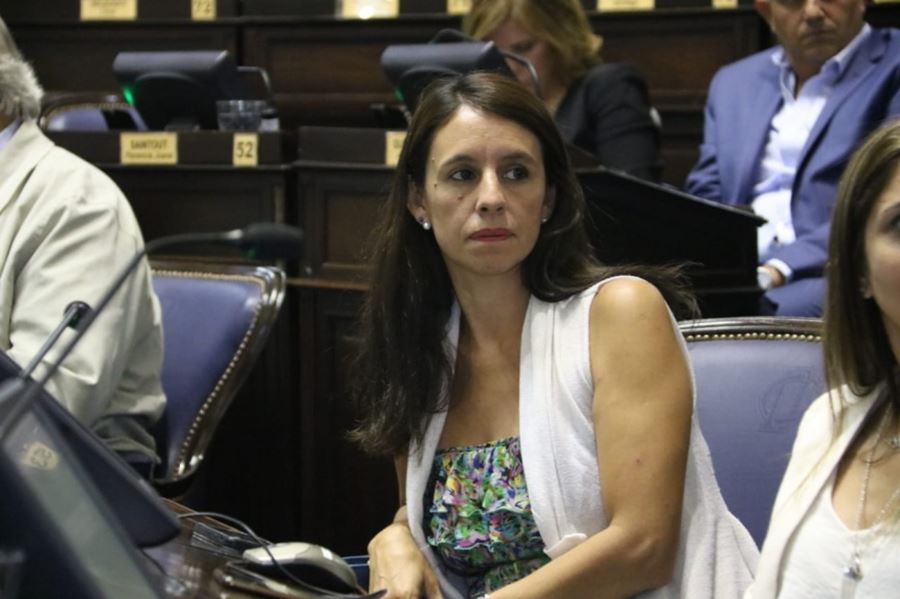 Roxana López: “La compra de pistolas taser en Tigre no solucionaría ningún problema concreto de inseguridad”