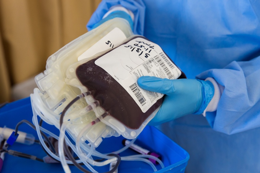 Este lunes: En La Plata, convocan a empleados municipales recuperados de covid19 a donar plasma