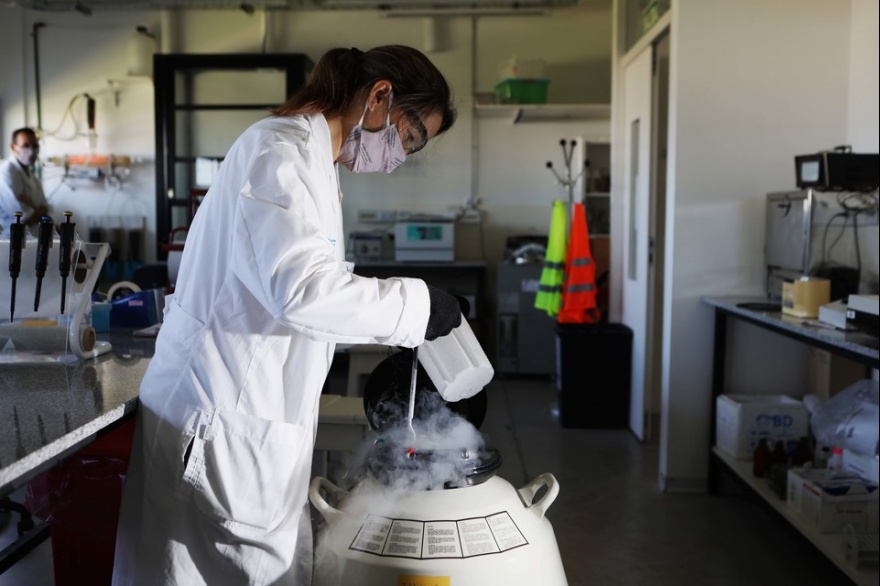 Otro logro inédito: Científicos de la UNLP logran generar anticuerpos específicos de las proteínas de SARS-CoV-2