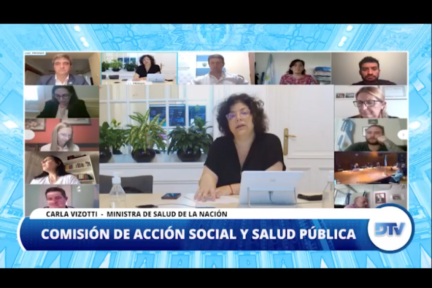 La ministra Vizzotti expuso ante Diputados sobre la campaña de vacunación