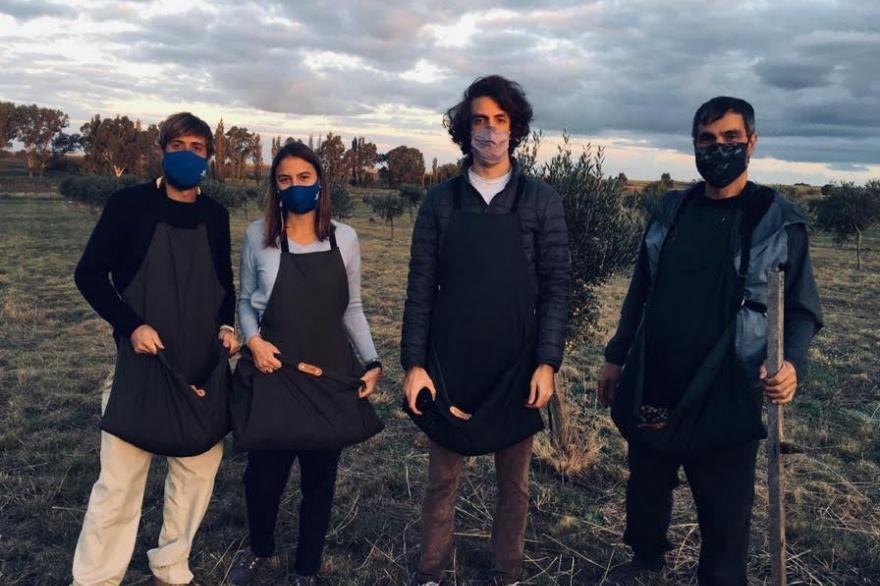 Ruta del olivo: paisaje, sabores y experiencias