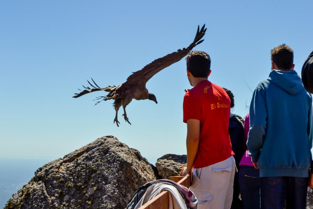 Votá las 7 Maravillas Riojanas y participá por un viaje al Talampaya