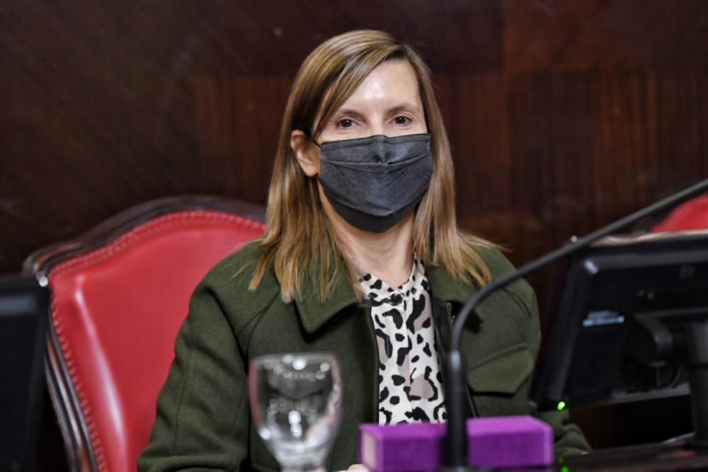 La senadora Demaría busca concientizar sobre la seguridad frente al ciberdelito
