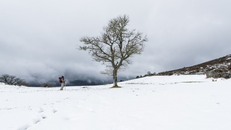 La Plata: Llega la serie fotográfica "El camino de Santiago" al Islas Malvinas