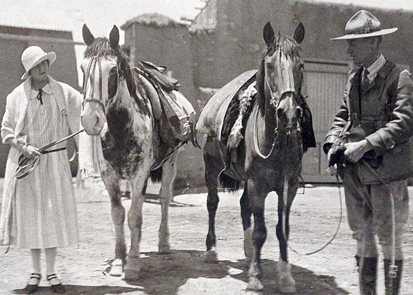 ¿Qué tiene que ver un gato con el día del Caballo que se celebra hoy?