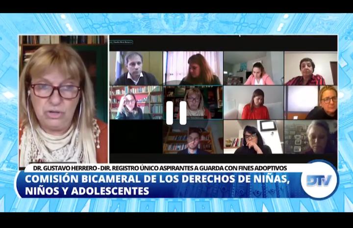 Diputados analizó los sistemas de adopción de Argentina