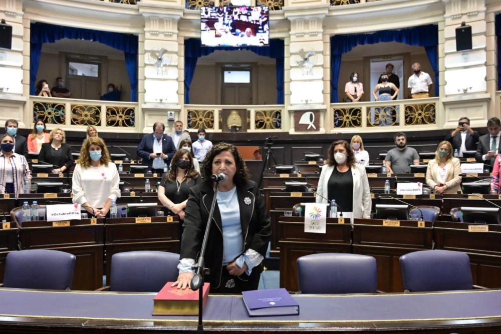Diputados: La ex intendenta de Villarino, Patricia Cobello, asumió en lugar de Merquel