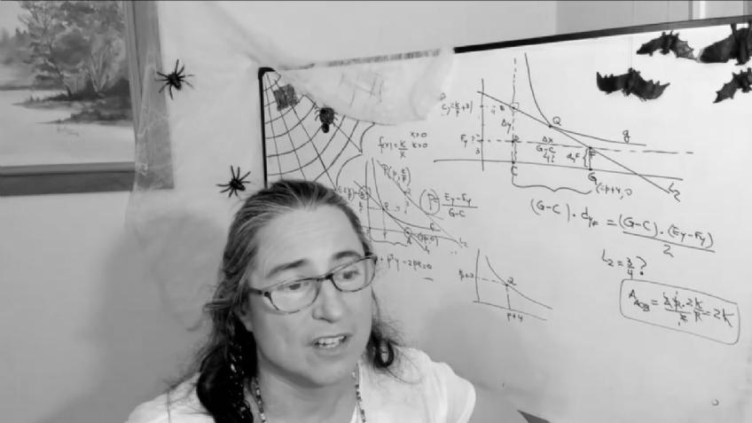 Escuchá la entrevista a Adriana González, la docente que da clases por Twitch