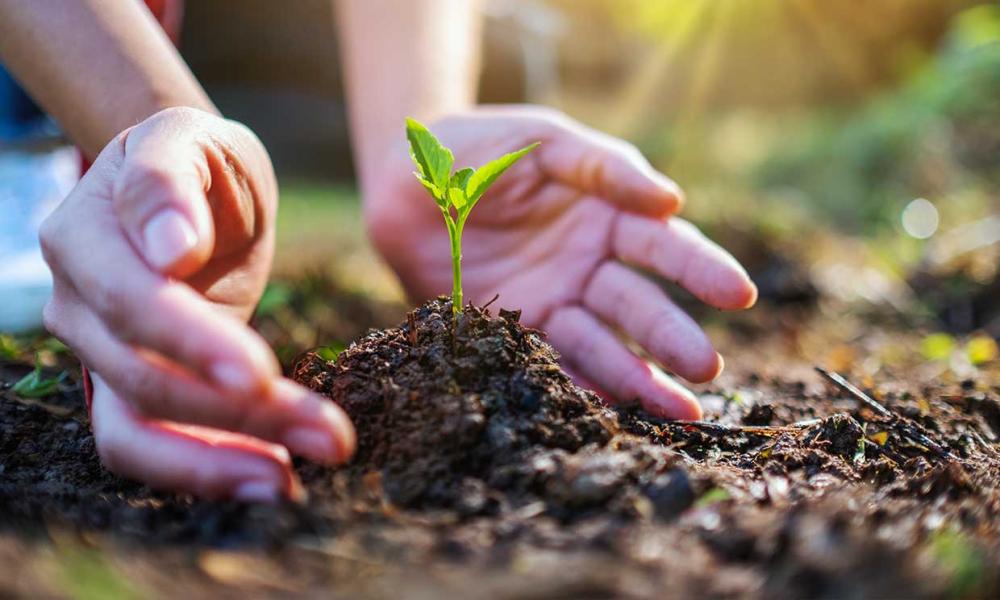 Derechos Humanos y Ambiente