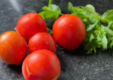 De no creer: se fue de la Secretaría de Agricultura y los tomates les quedaron chicos