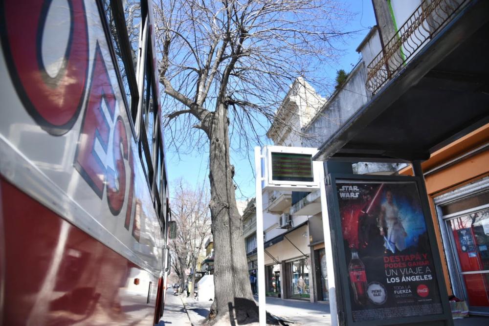 La Plata: por trabajos en la estación de trenes, cambian las paradas de calle 1