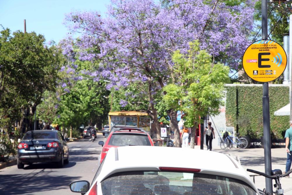 Atención La Plata: el Estacionamiento Medido vuelve a funcionar en su horario habitual