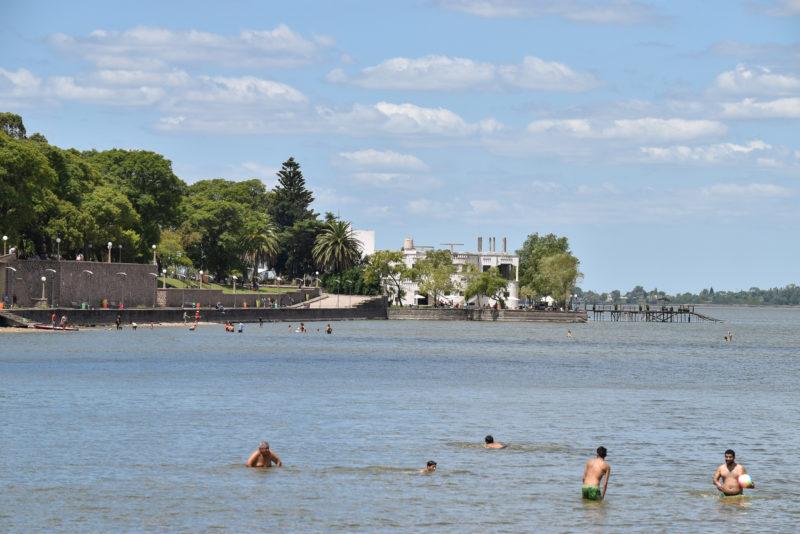 Llegaron las cianobacterias a la laguna de Chascomús y hay alerta amarilla