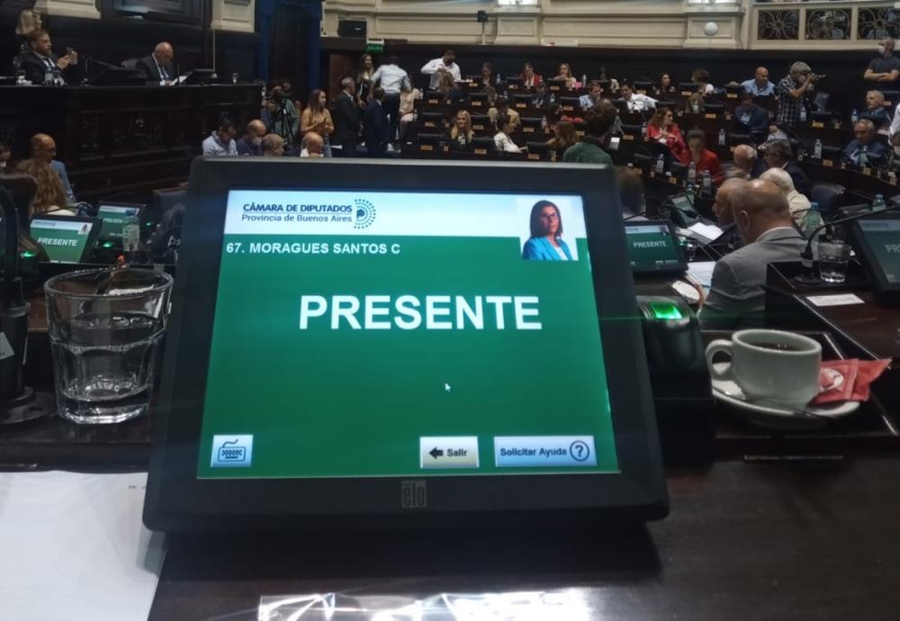 La diputada libertaria y las sesiones: “No consigo adaptarme a tanto desquicio”